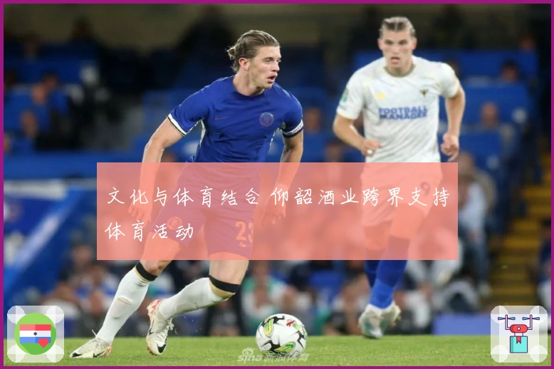 文化与体育结合 仰韶酒业跨界支持体育活动