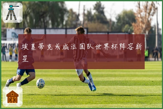 埃基蒂克或成法国队世界杯阵容新星