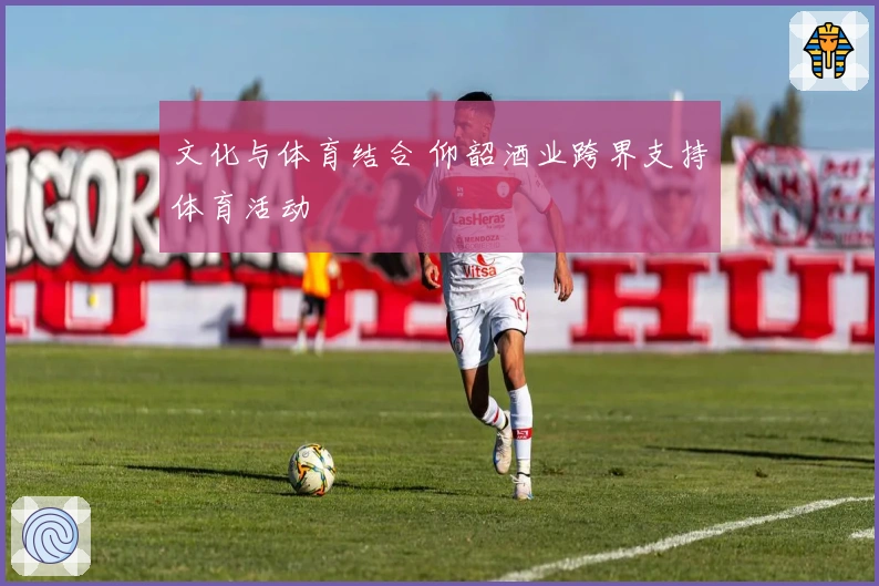 文化与体育结合 仰韶酒业跨界支持体育活动